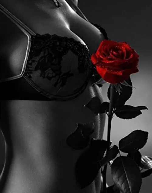 Escort Model Anna Linn, Auxerre - 2381