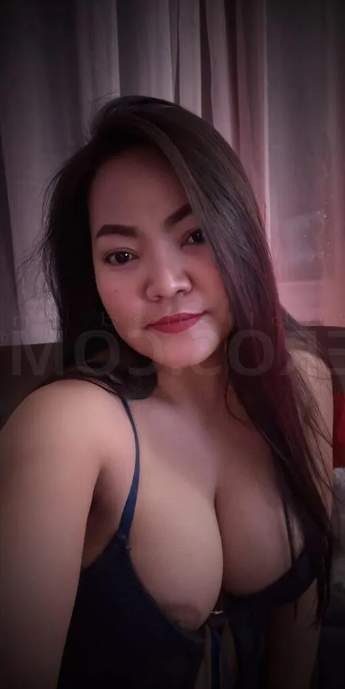 Escort Model Hjortrongull, Brive la Gaillarde - 16709