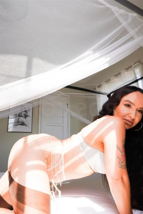 Xoshilt, escort in Poitiers - 2531